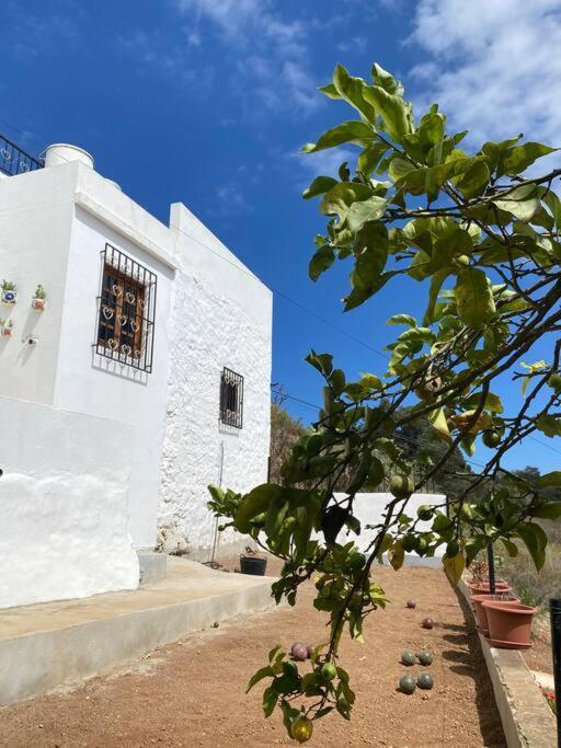 Вилла Casa Aya Терор Экстерьер фото